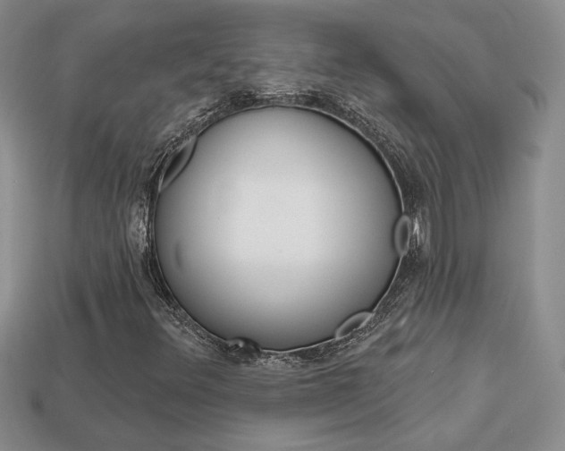 X0000113861348200909241017