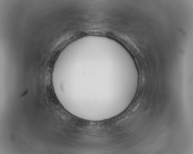 X0000113861350200909241017