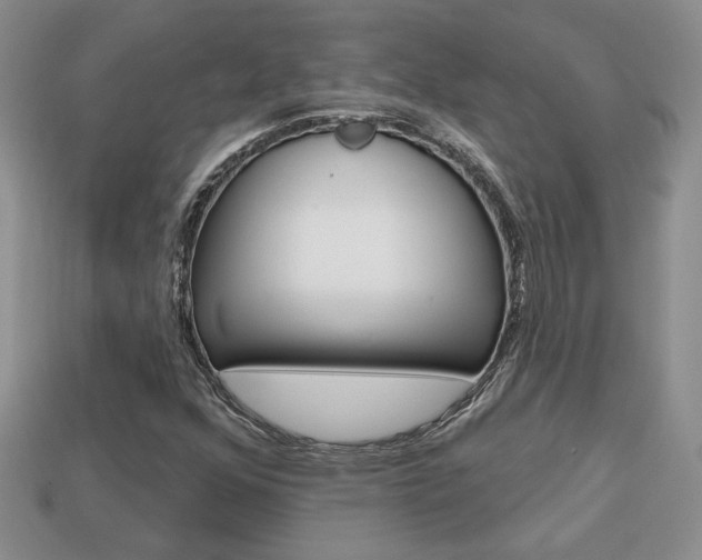 X0000113861352200909241017