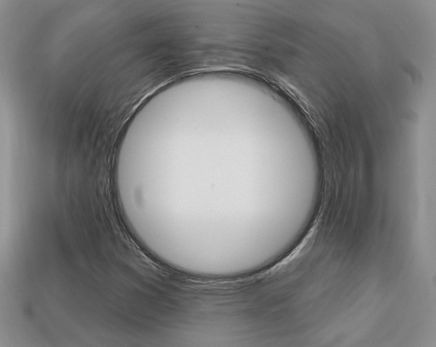 X0000113861353200909241017