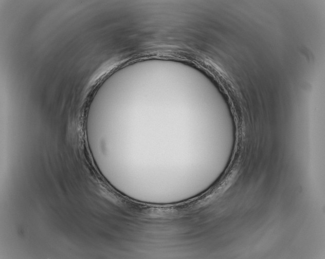 X0000113861354200909241017
