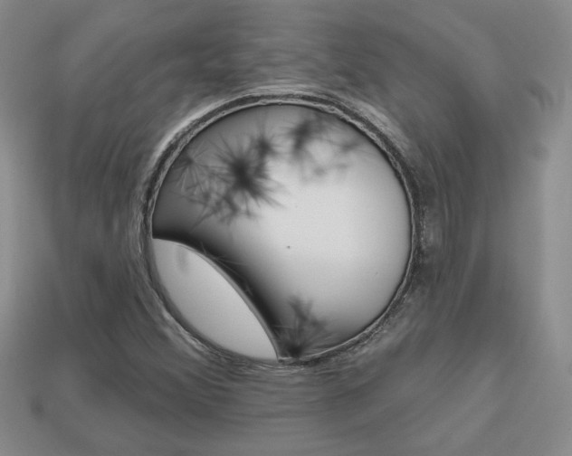 X0000113861356200909241017