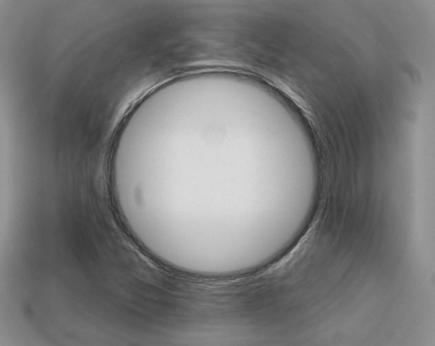 X0000113861357200909241017