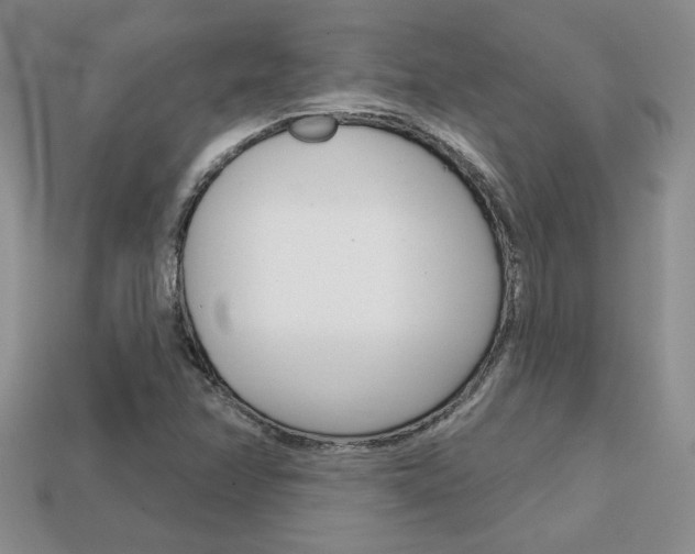X0000113861358200909241017