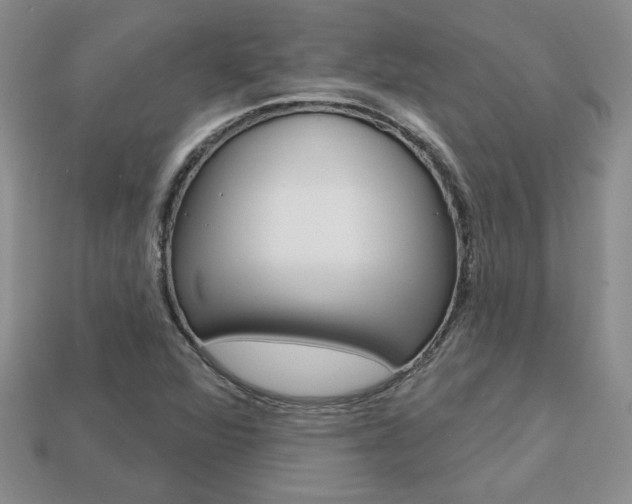 X0000113861360200909241017