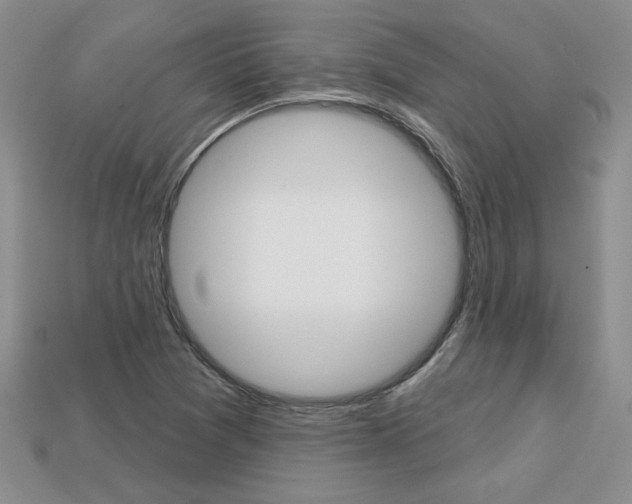 X0000113861361200909241017