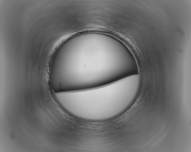 X0000113861363200909241017