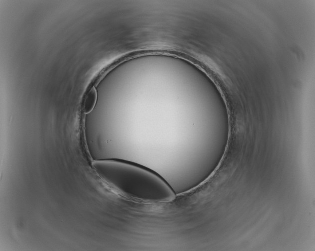 X0000113861364200909241017