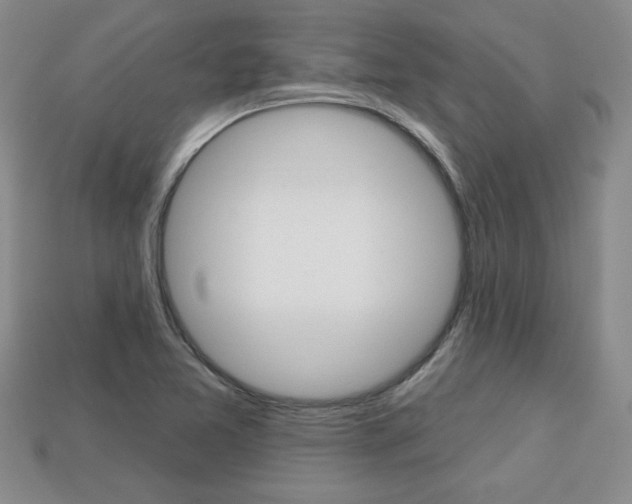 X0000113861365200909241017