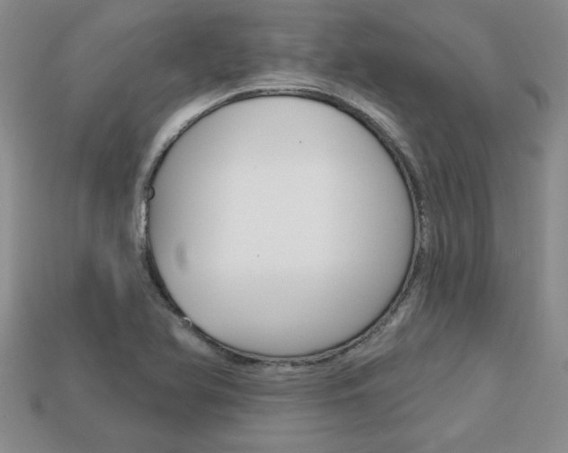 X0000113861366200909241017