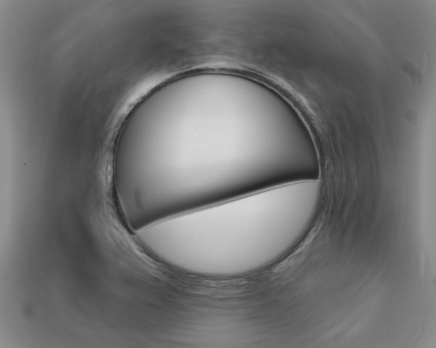 X0000113861367200909241017