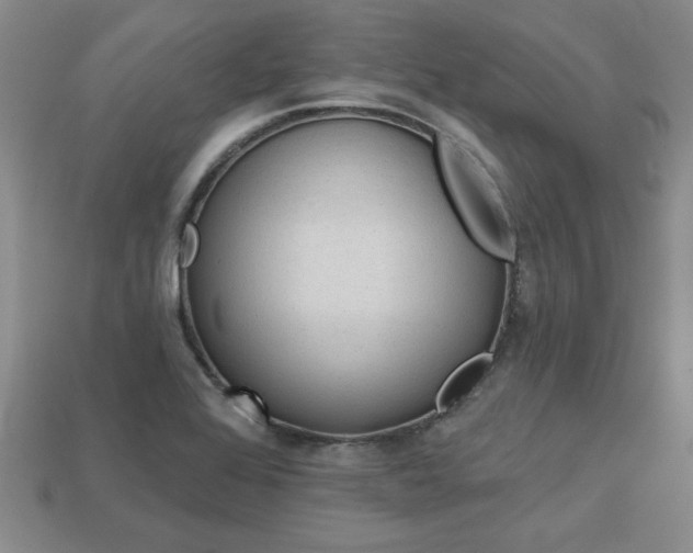 X0000113861368200909241017