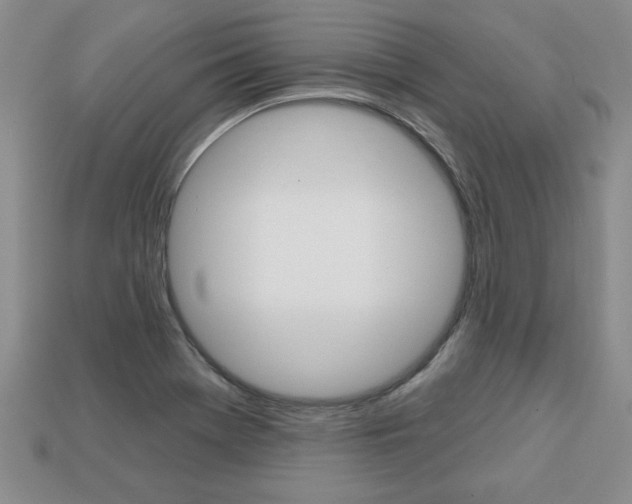 X0000113861369200909241017