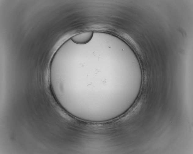 X0000113861370200909241017