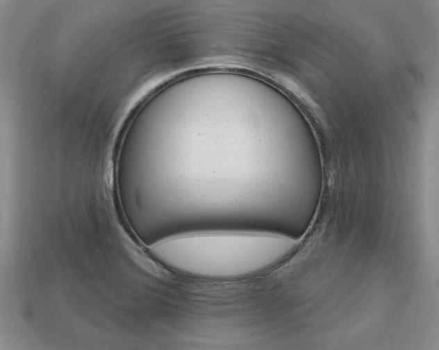 X0000113861372200909241017