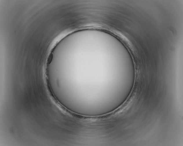 X0000113861373200909241017