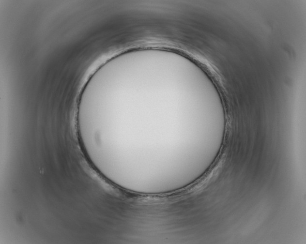 X0000113861374200909241017