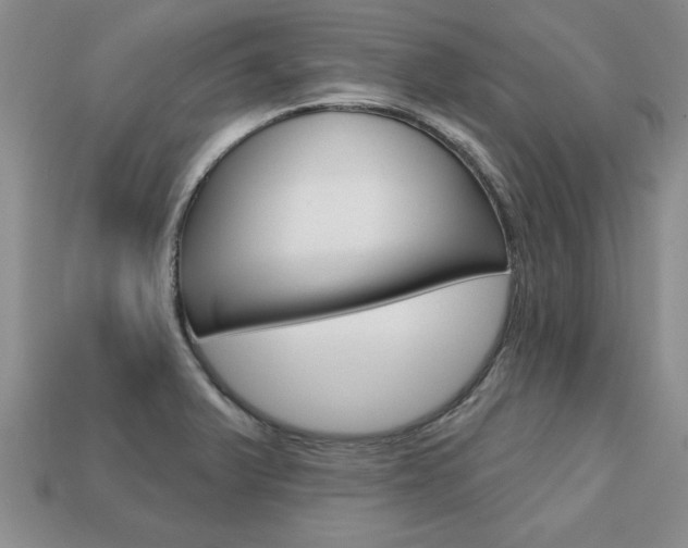 X0000113861375200909241017