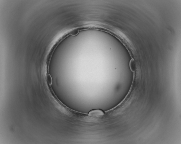 X0000113861376200909241017