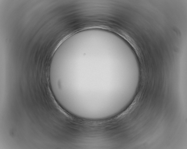 X0000113861377200909241017