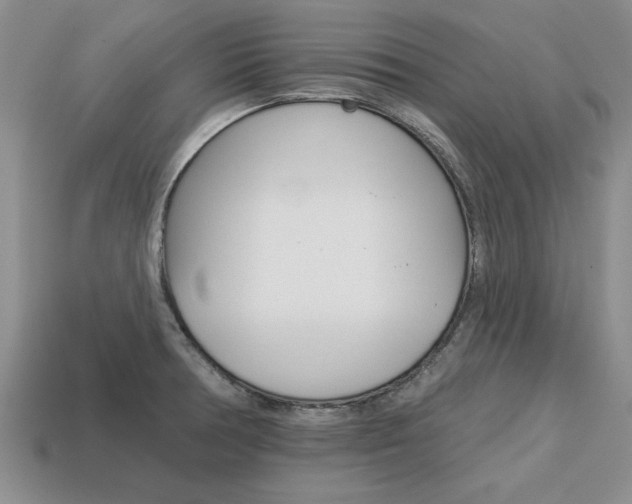 X0000113861378200909241017