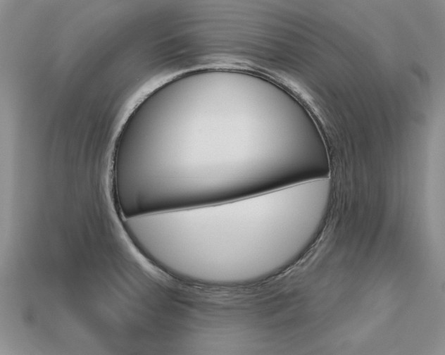 X0000113861379200909241017