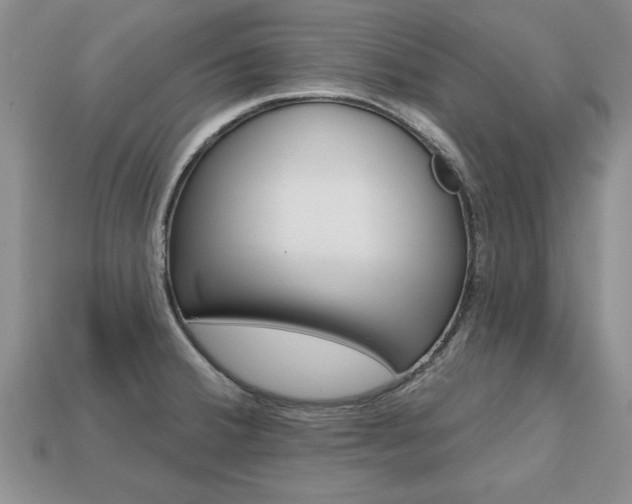 X0000113861380200909241017