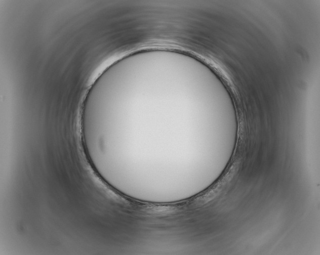 X0000113861382200909241017