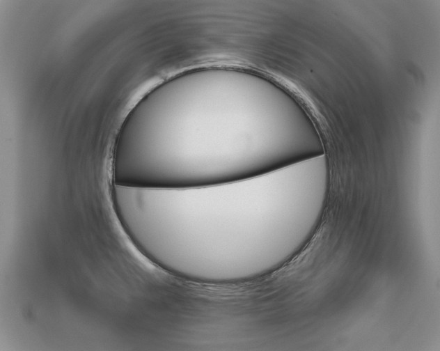 X0000113861383200909241017