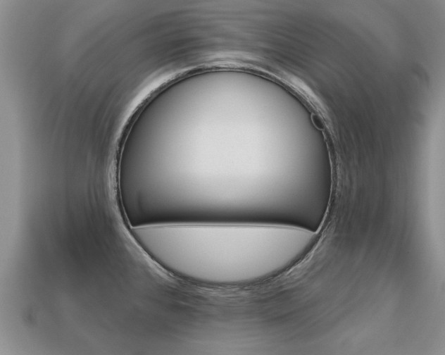 X0000113861384200909241017