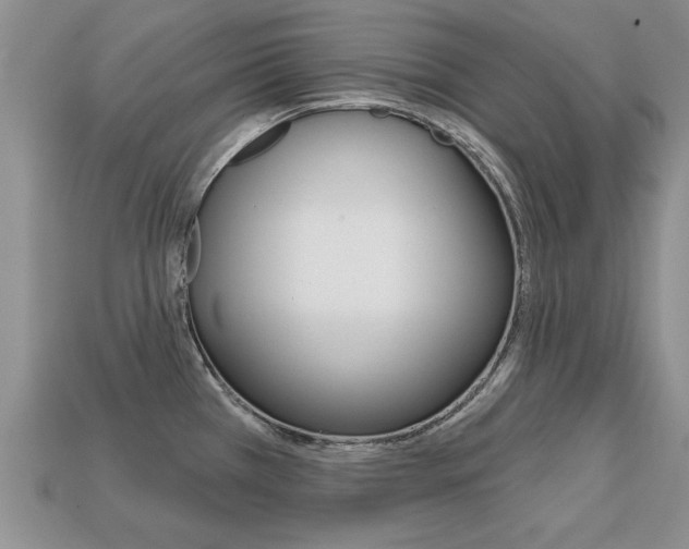 X0000113861385200909241017