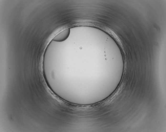 X0000113861386200909241017