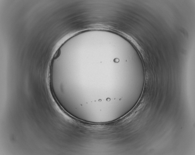 X0000113861387200909241017