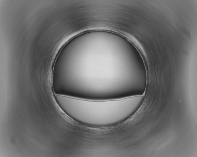 X0000113861388200909241017