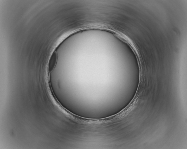 X0000113861389200909241017