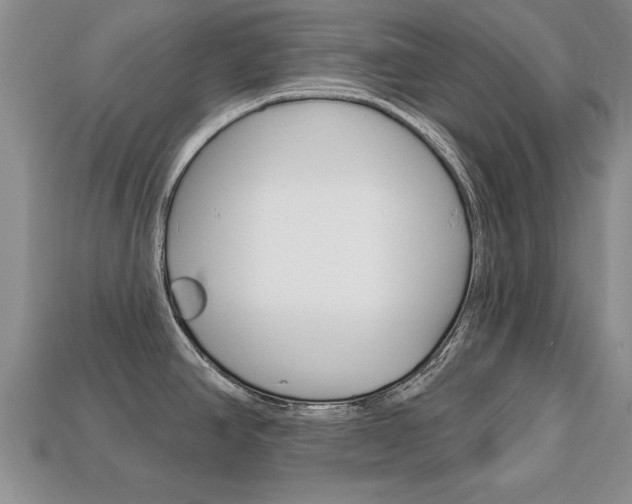 X0000113861390200909241017