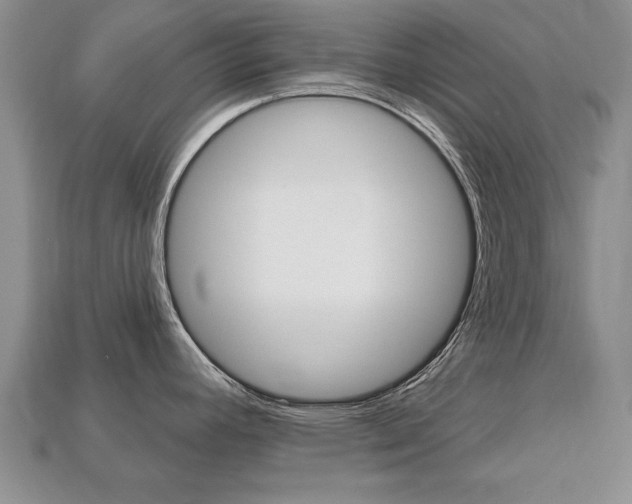X0000113861392200909241017