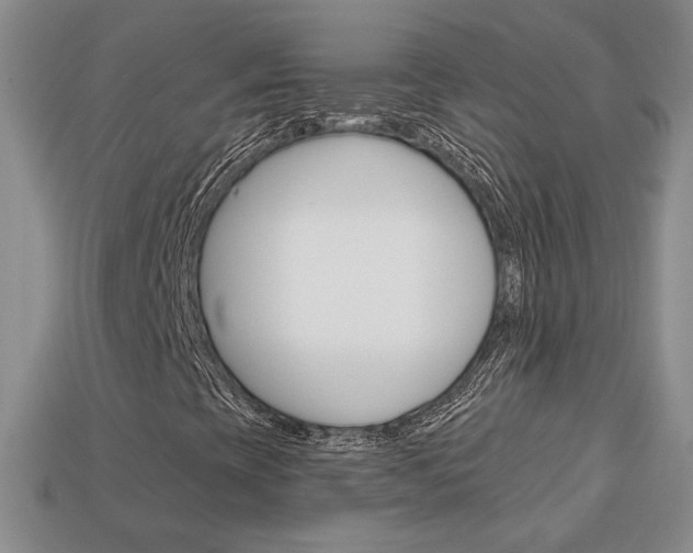 X0000113861393200909241016