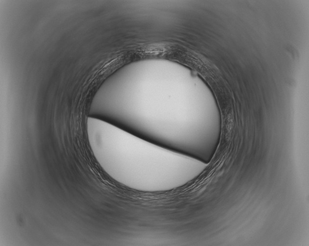 X0000113861394200909241016