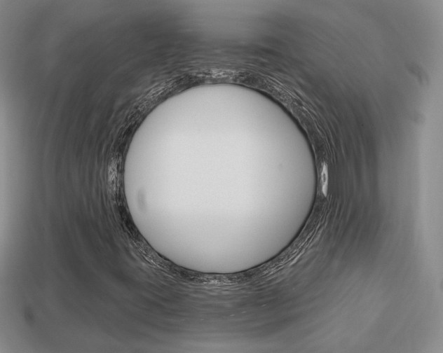 X0000113861395200909241016