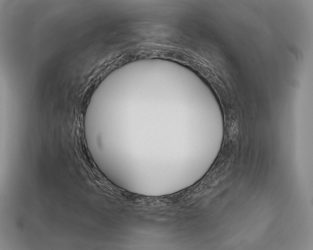 X0000113861397200909241016