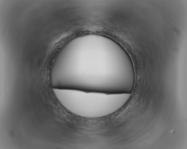 X0000113861398200909241016