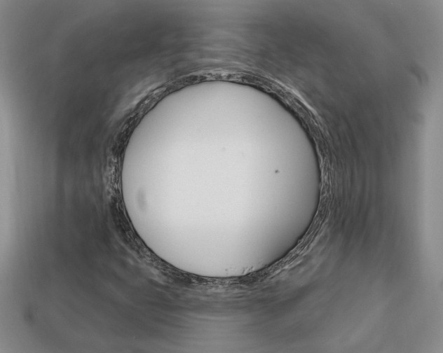 X0000113861399200909241016