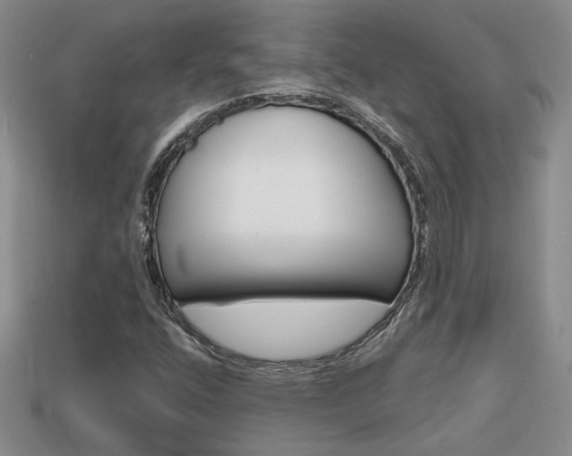 X0000113861400200909241016