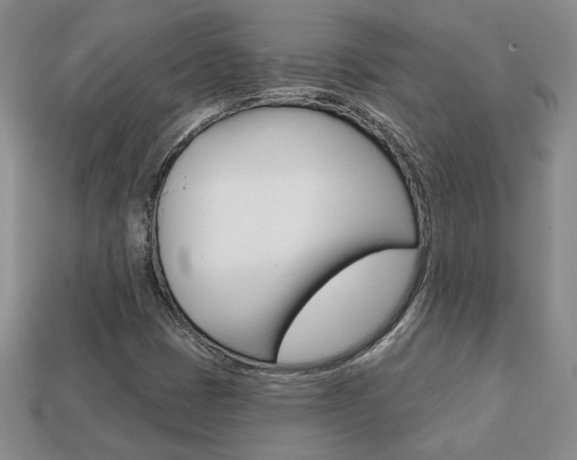 X0000113861401200909241016