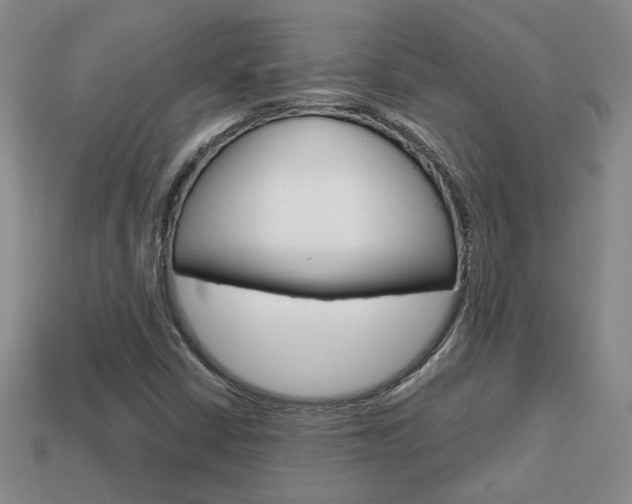 X0000113861402200909241016