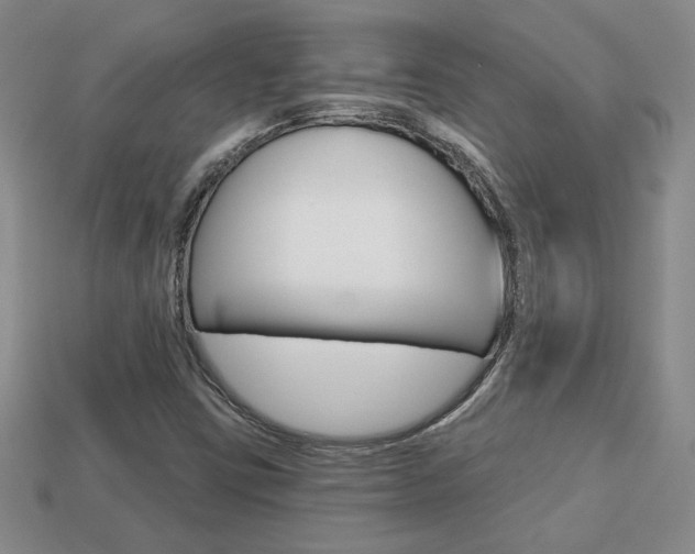 X0000113861403200909241016