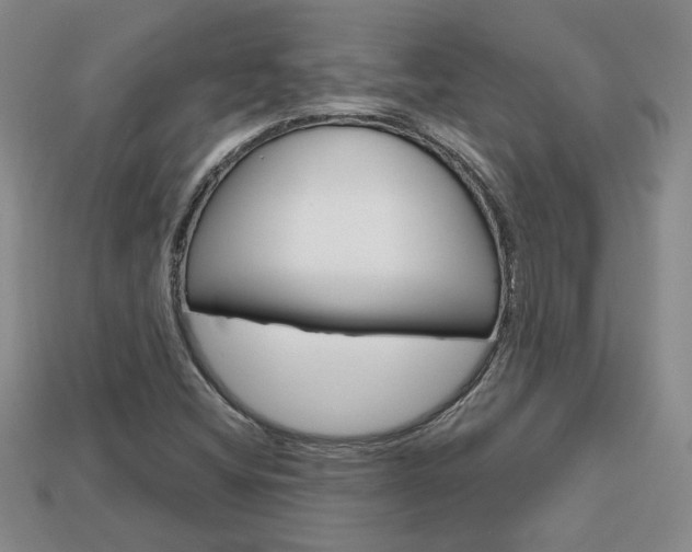 X0000113861404200909241016