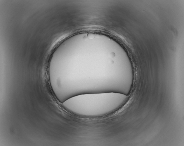 X0000113861405200909241016