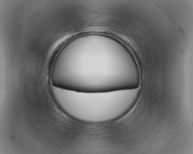 X0000113861406200909241016